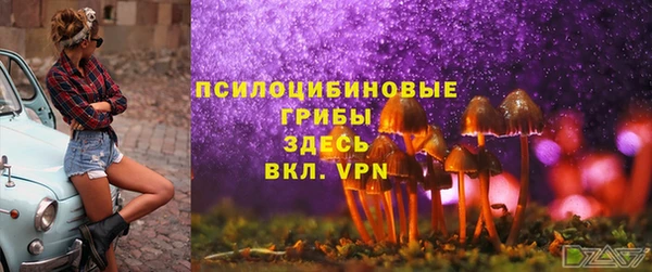 тгк Мегион