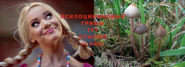 тгк Мегион