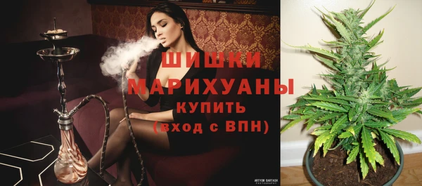 Альфа ПВП Медвежьегорск
