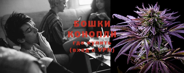 тгк Мегион