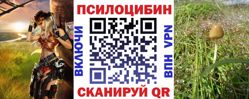 Галлюциногенные грибы Psilocybe  Купить  Астрахань 
